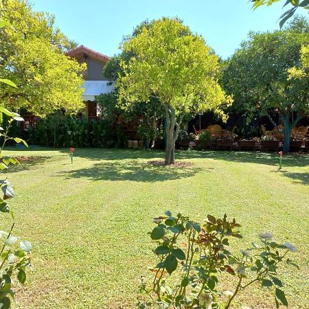 Bahce Villa Çıralı エクステリア 写真