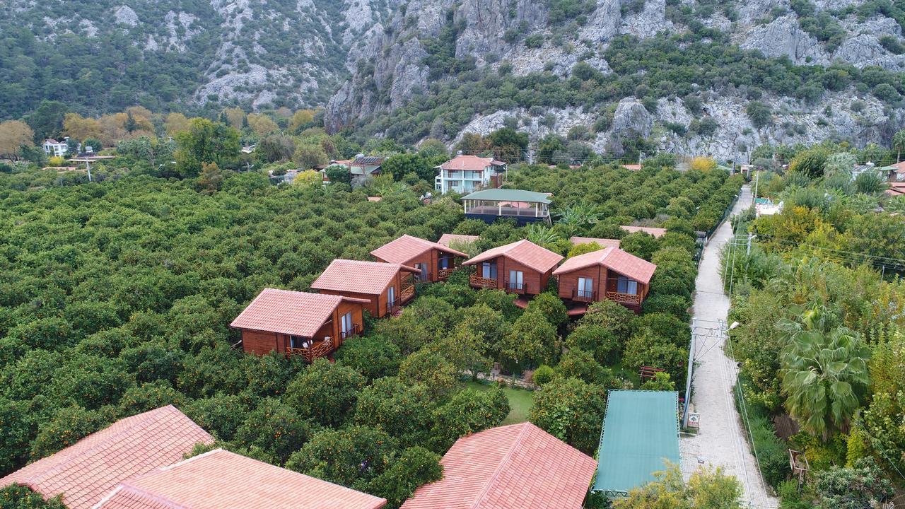 Bahce Villa Çıralı エクステリア 写真